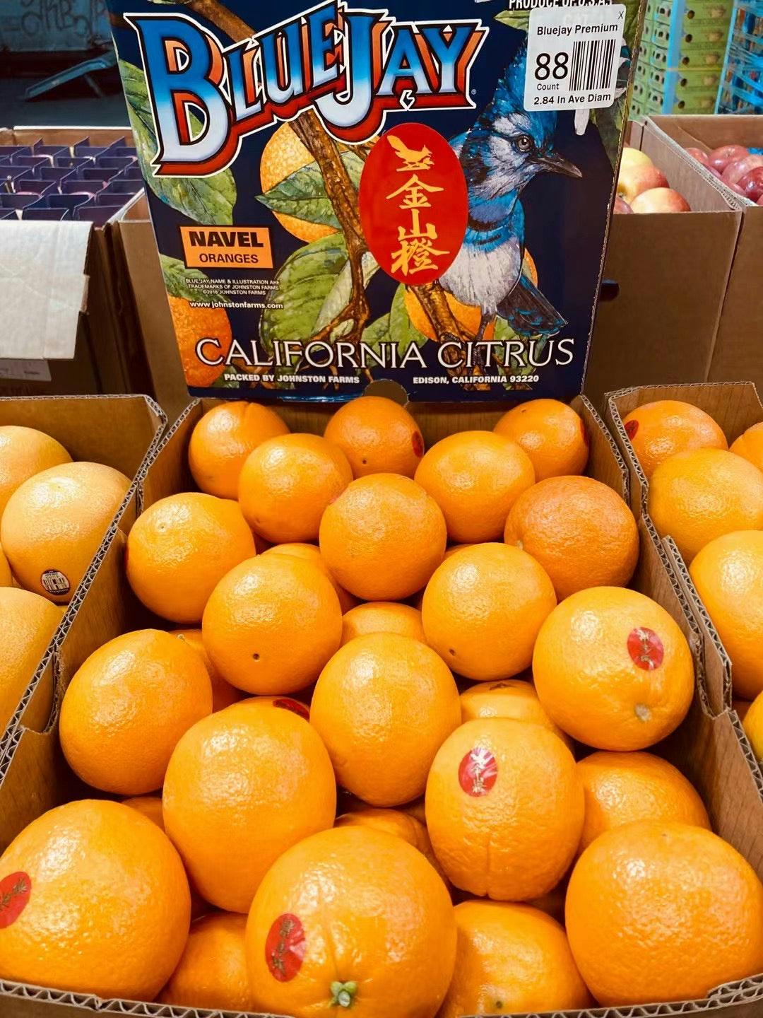 Fresh Tangerines 5pcs